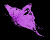Purple butterfly {R}