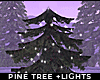 ! winter pine tree light