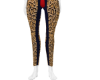 𝓒𝓒. Stripers
