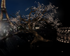 Paris Ambient Tree