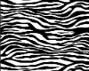 A - Zebra Heels