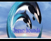 Ocean Sounds Wale