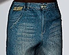 Blue Denim Shorts