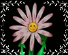 Animated Flower Avatar