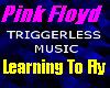 Pink Floyd-Learning to..