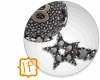 Earrings  CD stars