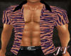 *JT Tiger Pnt Shirt