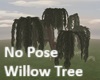 No Pose Willow Tree