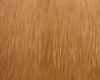Cabelo Laranja