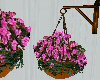 Hanging flowers pink 2