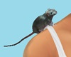 CK Shoulder Mouse