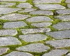 Cobblestone walk way