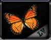 [ LV ] ~ Butterfly Ani ~