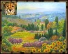 PdT TuscanySunflowers