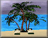 Tropical Palm anim