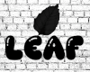 LB | Flare Jeans 3/3 F