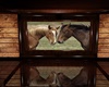 Horse Haven