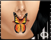 [Q] Butterfly Kiss 3