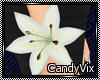 [CV] White Wrist Lily