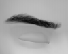 Male Eyebrows