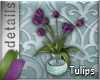 [MGB] D! Flowers / Tulip