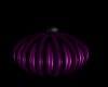 purple pumpkin 2
