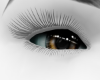 Abel Eyes