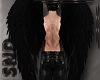 Black Wings - Male