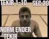 Norm Ender Tekir