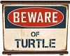 Turtle Roadsign