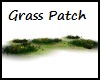 Grass Flower Patch