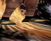 !B! Black & Gold Shoes