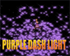 purple dash light
