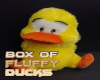 Box of Fluffy Ducks