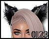 0123 Shiny Cat Ears