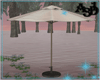 A3D* Parasol