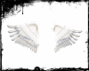 (NZL) feathers angel V1