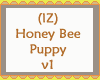🐝 Honey Bee Puppy v1