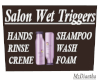 Salon Wet Triggers Sign
