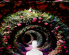 JW Blossom xx3