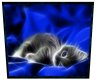 !R! Blue Rose Kitty