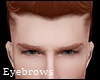 Vampire Ginger Eyebrows