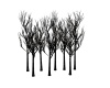 {LS} Blk lighted trees