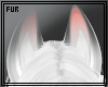 FUR// Nephox Ears