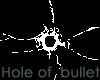 Hole of bullet-1