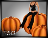 TSO~ Pumpkin Seats