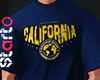 Regular Blue T-Shirt
