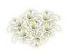White Lilies Soft