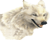 glitter-white Wolf