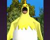 Eggs Chicken LOL COmedy Halloween COstumes Farm Animals Funny